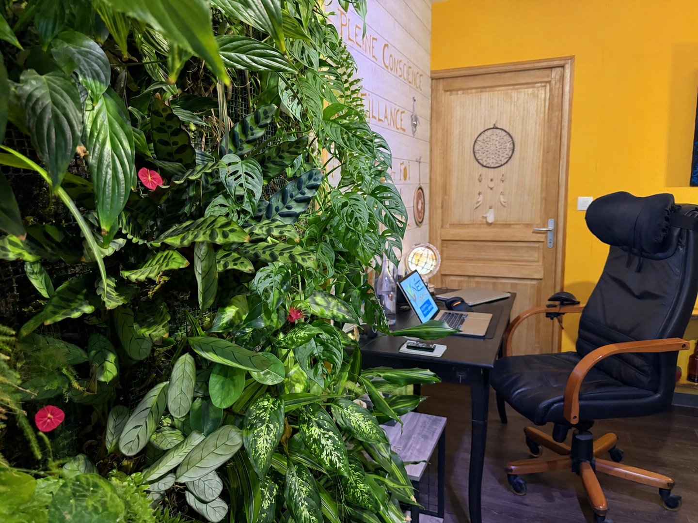 Le mur végétal vivant face au bureau et au fauteuil.