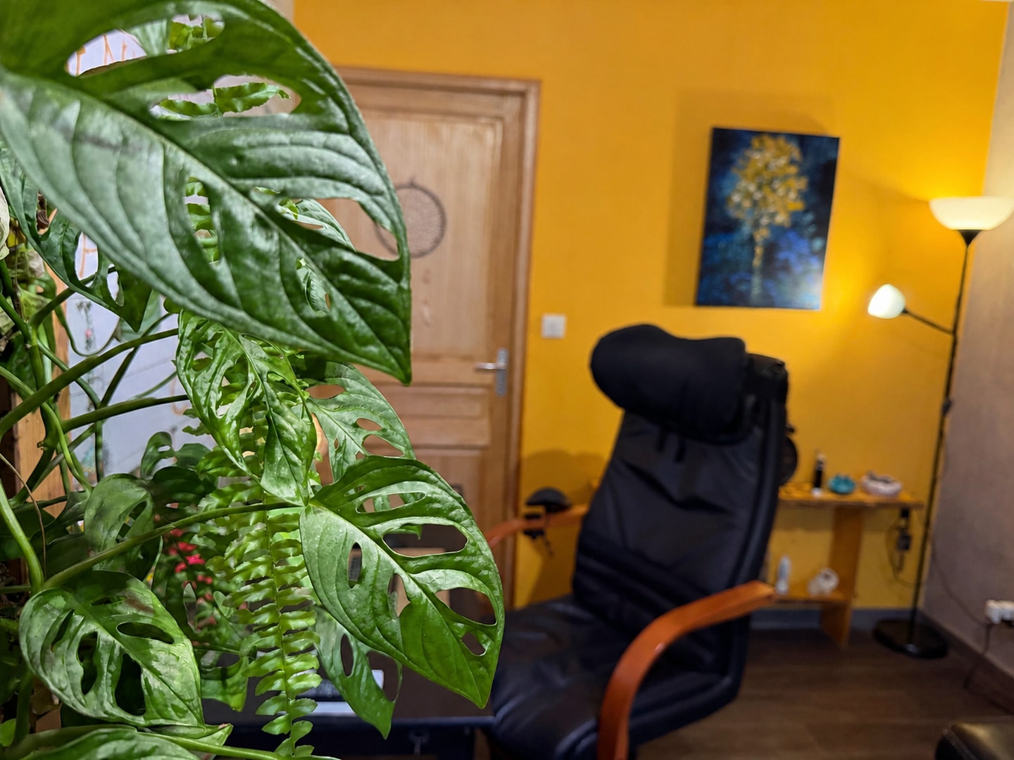 Les plantes lumineuses au premier plan de l’espace de séance.